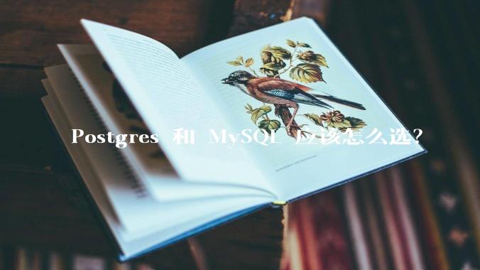 Postgres 和 MySQL 应该怎么选？