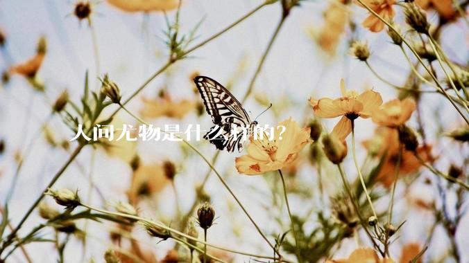 人间尤物是什么样的？