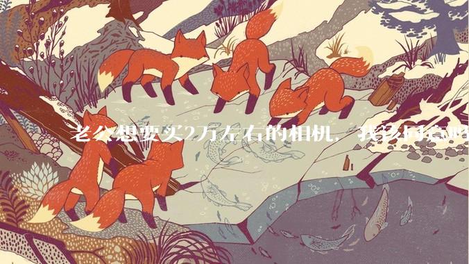 老公想要买2万左右的相机，我该同意吗？