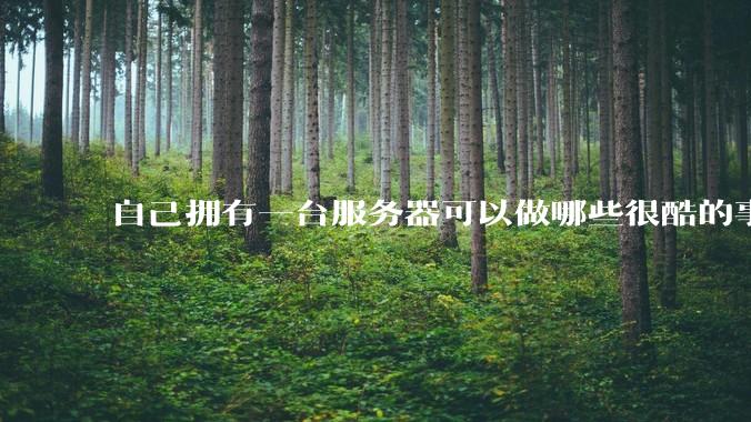 自己拥有一台服务器可以做哪些很酷的事情？