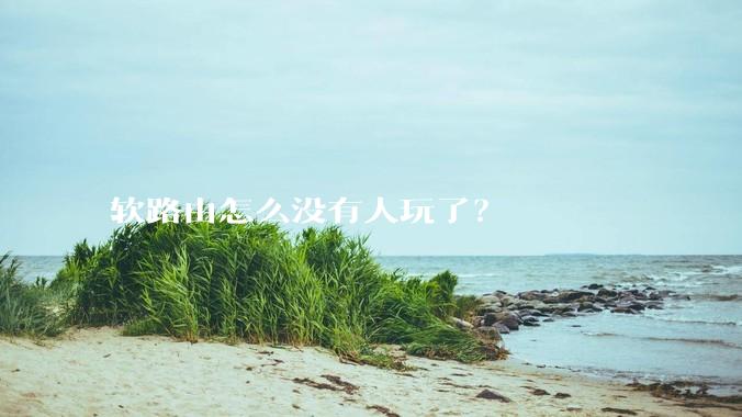 软路由怎么没有人玩了？